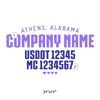 Company Name Truck Door Decal (USDOT, MC, GVW) 2 Pack